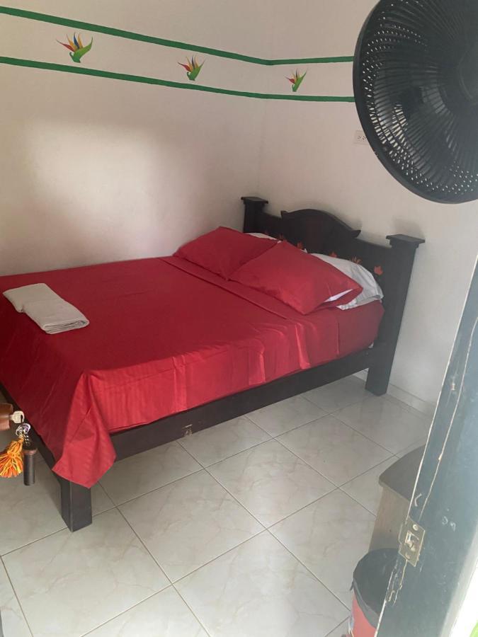 Palomino Hostel Extérieur photo