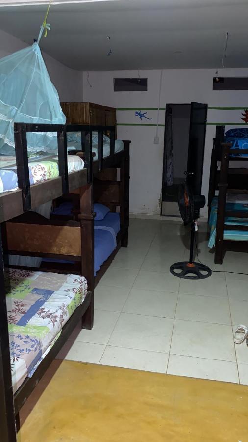 Palomino Hostel Extérieur photo