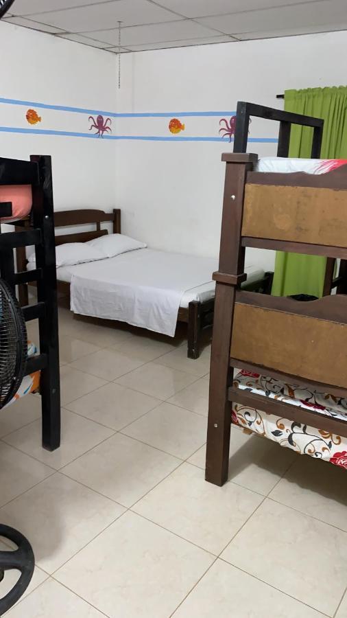 Palomino Hostel Extérieur photo