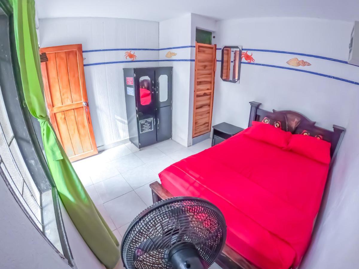 Palomino Hostel Extérieur photo