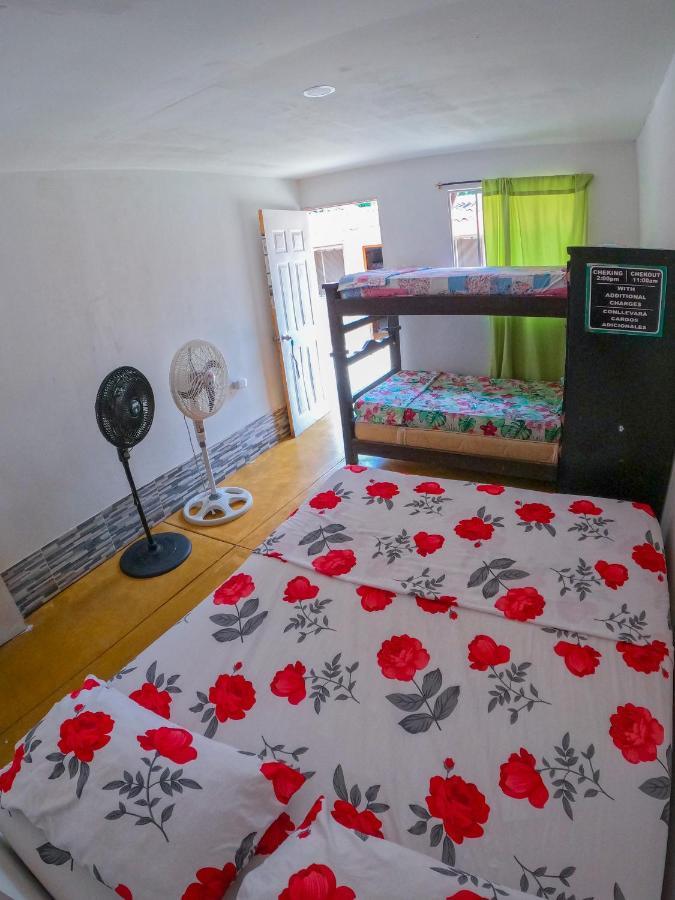 Palomino Hostel Extérieur photo