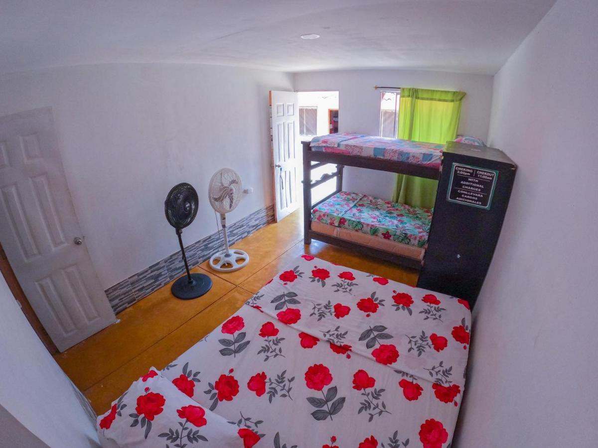 Palomino Hostel Extérieur photo