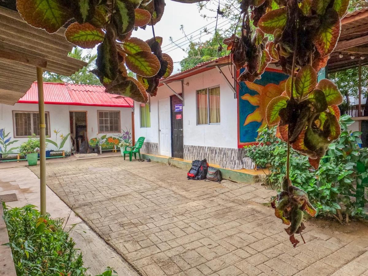 Palomino Hostel Extérieur photo